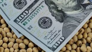 Por qué cayó el dólar tras el anuncio del recorte de las retenciones.