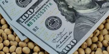 Por qué cayó el dólar tras el anuncio del recorte de las retenciones.