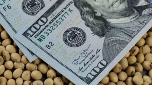 Por qué cayó el dólar tras el anuncio del recorte de las retenciones.