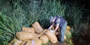 Incautan más de una tonelada de marihuana en Colonia Victoria.