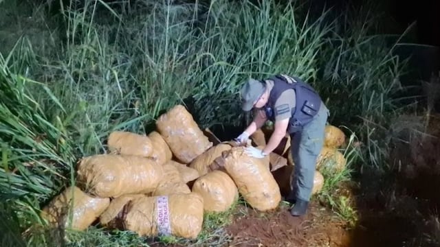 Incautan más de una tonelada de marihuana en Colonia Victoria.