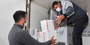 La Pampa recibió 9.300 dosis (APN)