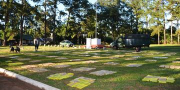 Colonia Delicia: Gendarmería  decomisó casi 4 toneladas de marihuana