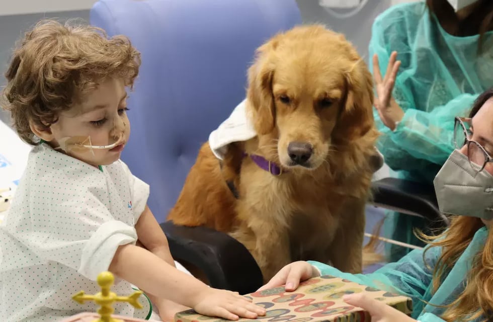 Niños internados en Rosario podrán recibir a sus mascotas