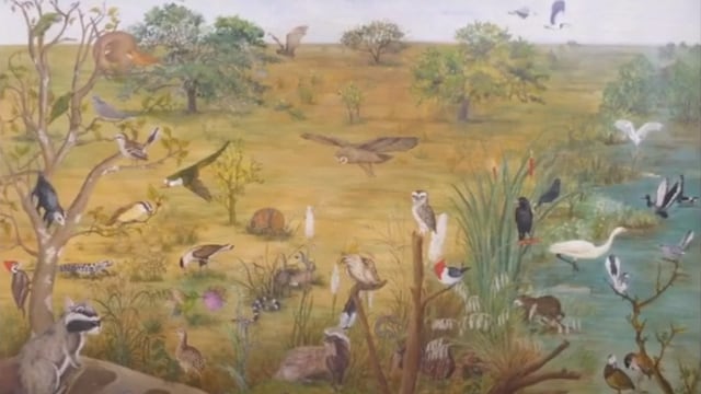 El Museo Histórico Municipal habilita “Descubrir cielos y suelos”