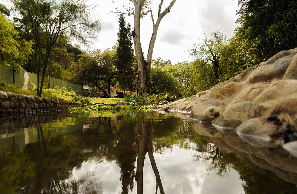 Clima en Córdoba: cómo estará el tiempo este sábado 20 de mayo