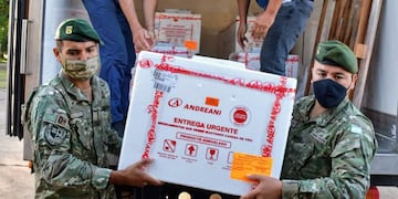 “Desde el gobierno estamos trabajando para que a medida que las dosis vayan llegando, inmediatamente sean distribuidas en la población objetivo”, resaltó Benítez.