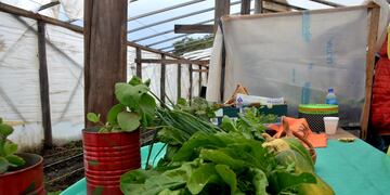 Crean en Tandil una nueva huerta agroecológica