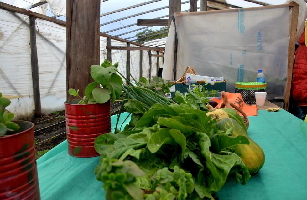 Crean en Tandil una nueva huerta agroecológica