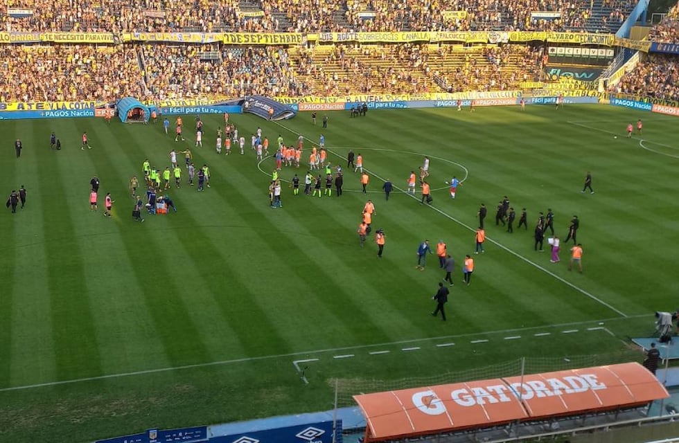 Otro bicho en Rosario: un animal pasó por el banco de suplentes de Argentinos Juniors
