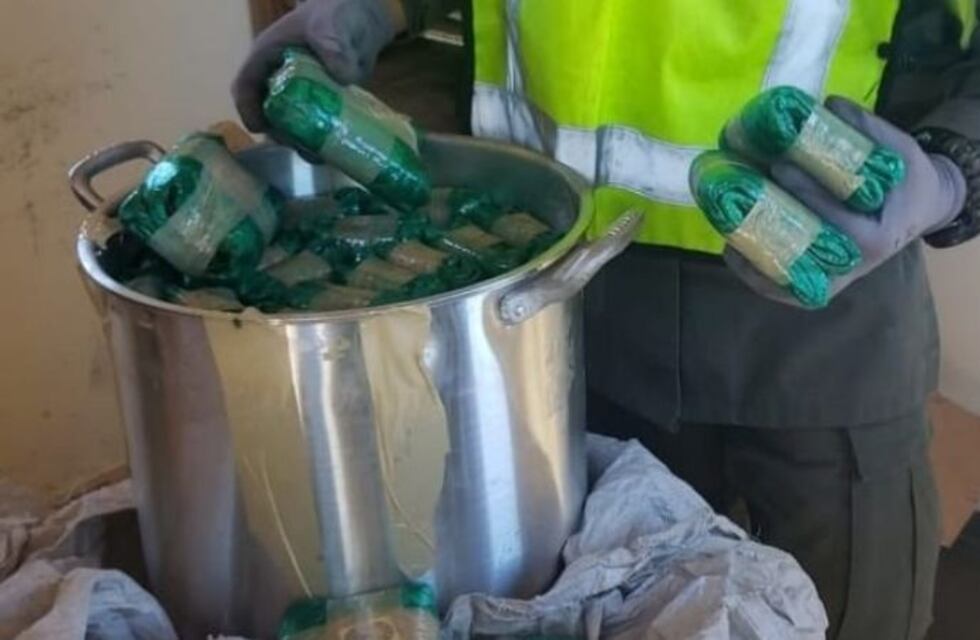 Hallan 12 kilos de hojas de coca en un colectivo de larga distancia