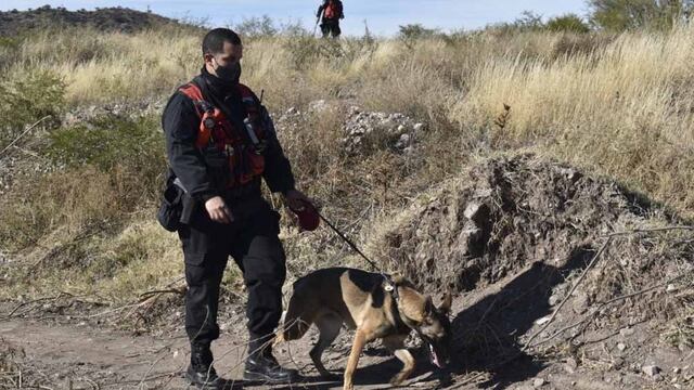 La policía con perros entrenados busca en las zonas aledañas al barrio por donde fue vista por última vez Guadalupe Lucero. Gentileza Télam
