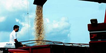 La Cámara de Comercio de San Rafael se opone al cierre de exportaciones y aumento de retenciones. (La Voz/ Archivo)