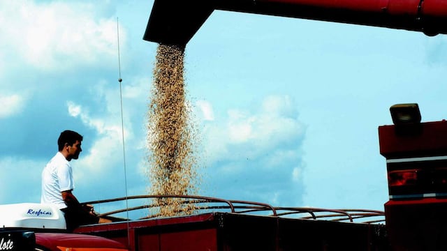 La Cámara de Comercio de San Rafael se opone al cierre de exportaciones y aumento de retenciones. (La Voz/ Archivo)