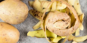 Incorporar cáscaras de papa en el jardín es una estrategia natural para enriquecer el suelo y fortalecer las plantas.