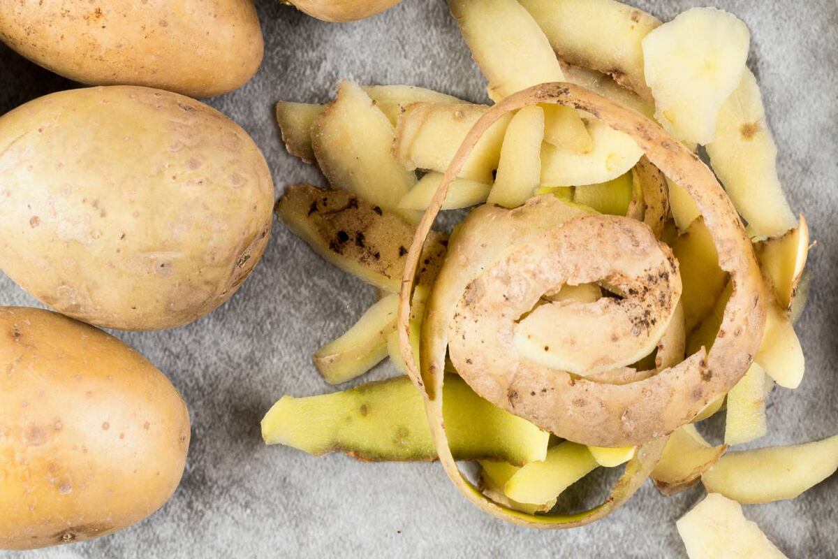 Este es el beneficio secreto que trae colocar cáscara de papas en el jardín de tu hogar