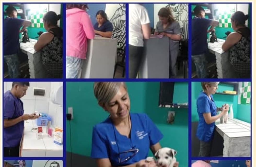 Famaillá realizó un nuevo operativo de vacunación y castración en San Pablo