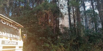 Controlan foco de incendio en un pinar en Eldorado.