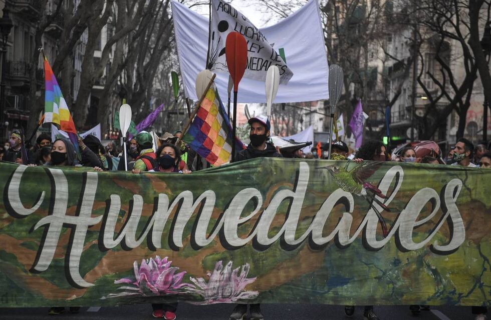 Ley de Humedales: organizaciones preparan una marcha en medio de los incendios en el Delta del Paraná