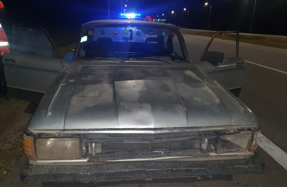 Córdoba: llevaban ocho lechones robados, en el baúl