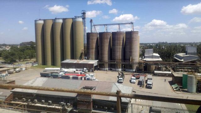 GIGANTE. Una de las plantas de Molino Cañuelas, una de las empresas agroalimentarias más grandes del país. (Google Maps)