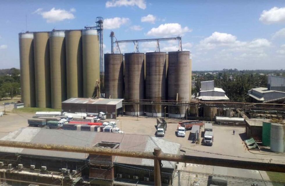 La empresa alimenticia Molino Cañuelas se presentó en concurso de acreedores