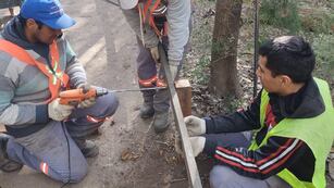 Trabajos de mantenimiento en el Bosquecito Besaccia