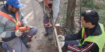 Trabajos de mantenimiento en el Bosquecito Besaccia