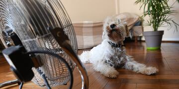 Mucho calor en la ciudad. (Ramiro Pereyra / La Voz)