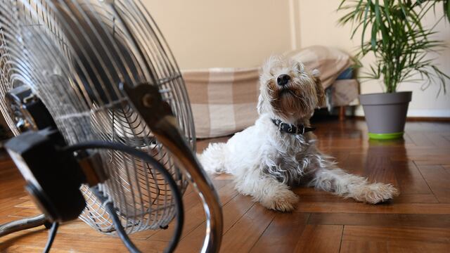 Mucho calor en la ciudad. (Ramiro Pereyra / La Voz)