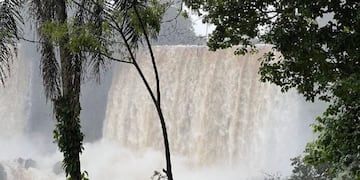 Parque Nacional Iguazú reabre sus circuitos tras inspección post crecida del río.