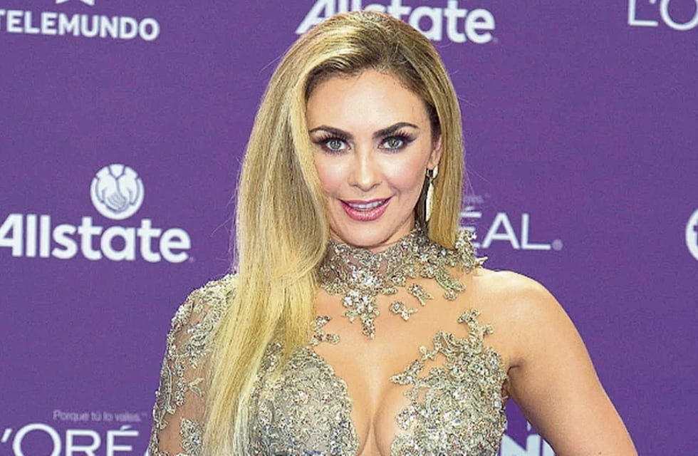Aracely Arámbula, la ex de Luis Miguel, deslumbró de espaldas con un vestido azul