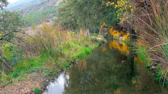 La siembra de agua es una técnica que se basa en construir un estanque de agua, para su posterior reutilización.
