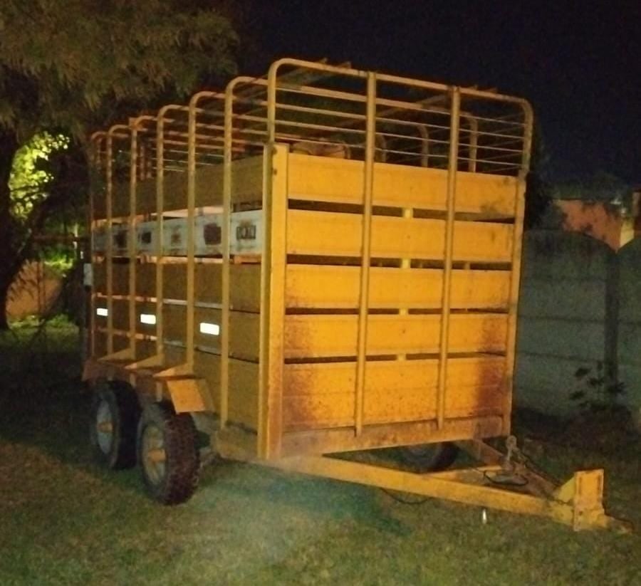 Patrulla Rural recuperó 25 terneros en un hecho de abigeato en la zona de Las Varillas