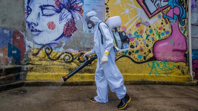 Brasil. Es el país latinoamericano con más muertos por coronavirus (DPA/Archivo).