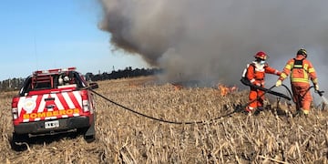Incendio de campos
