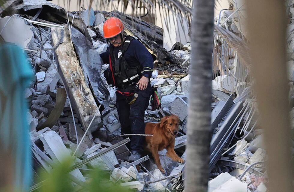 Derrumbe en Miami: un socorrista encontró el cuerpo de su propia hija