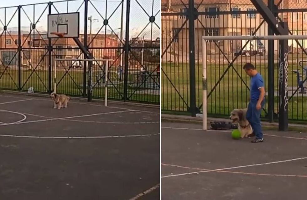 Virales: tiene un perro que ataja goles y lo compararon con el Dibu Martínez