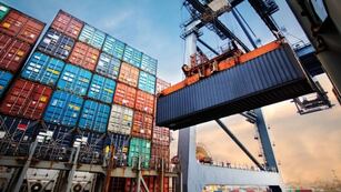 Cayeron las exportaciones en mayo y se desplomó el saldo comercial