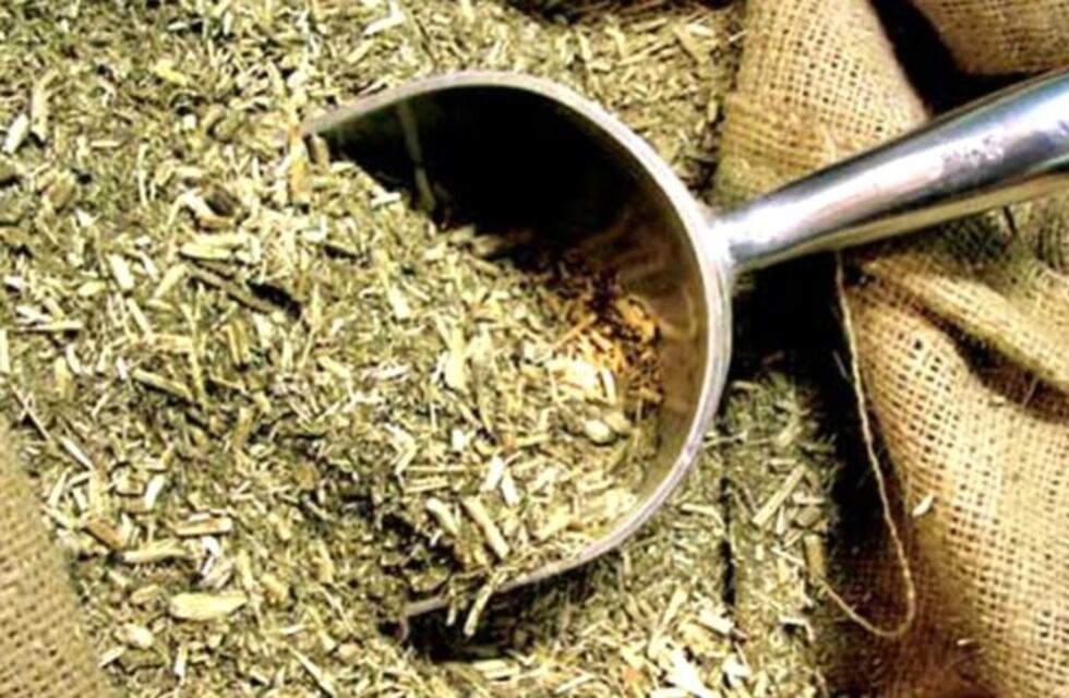 Nueva ayuda del Gobierno: invertirá $650 millones en yerba mate destinado a personas en situación de vulnerabilidad