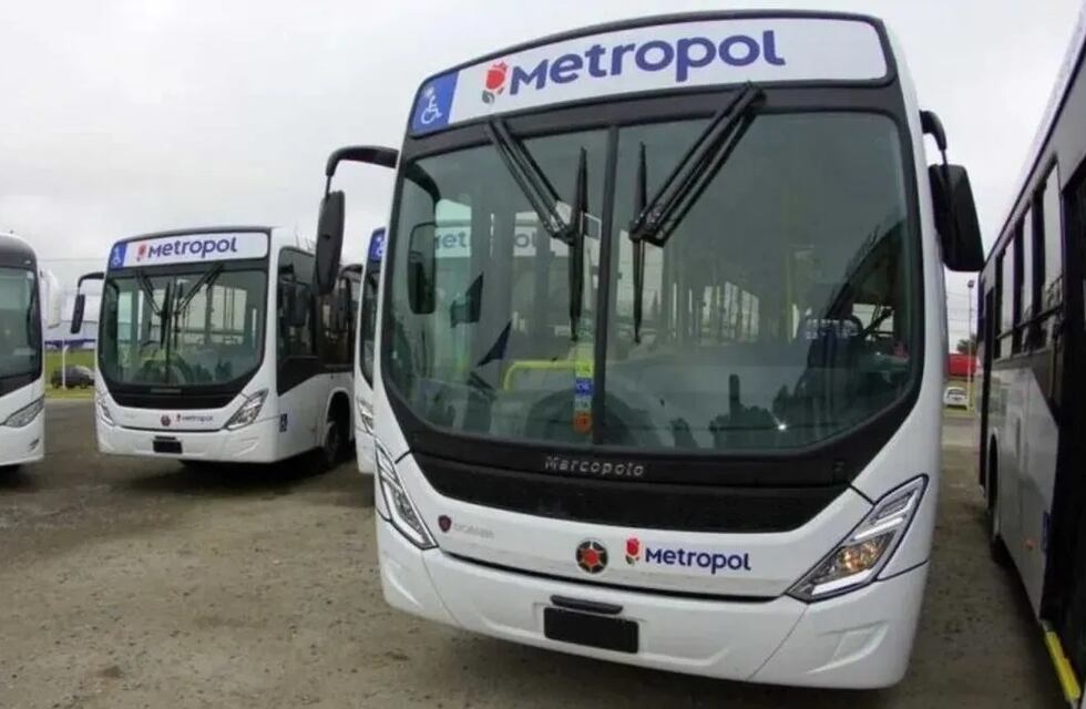 Paro de colectivos: la provincia quiere avanzar en la quita de la concesión a la empresa de transporte Metropol