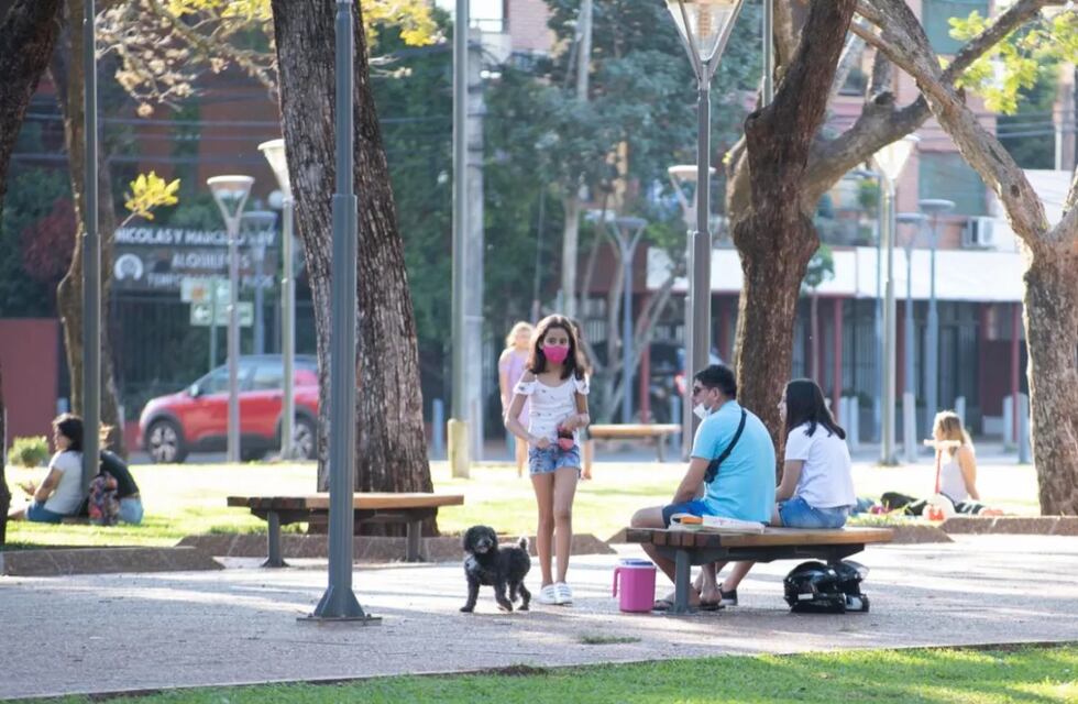 Coronavirus: el municipio de San Pedro levantó las restricciones en varias  actividades