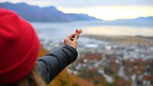 Se lanzó el programa de beneficios para turistas nacionales, internacionales y locales.