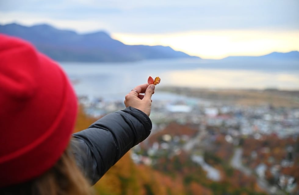 Lanzamiento del programa “Otoño del Fuego”