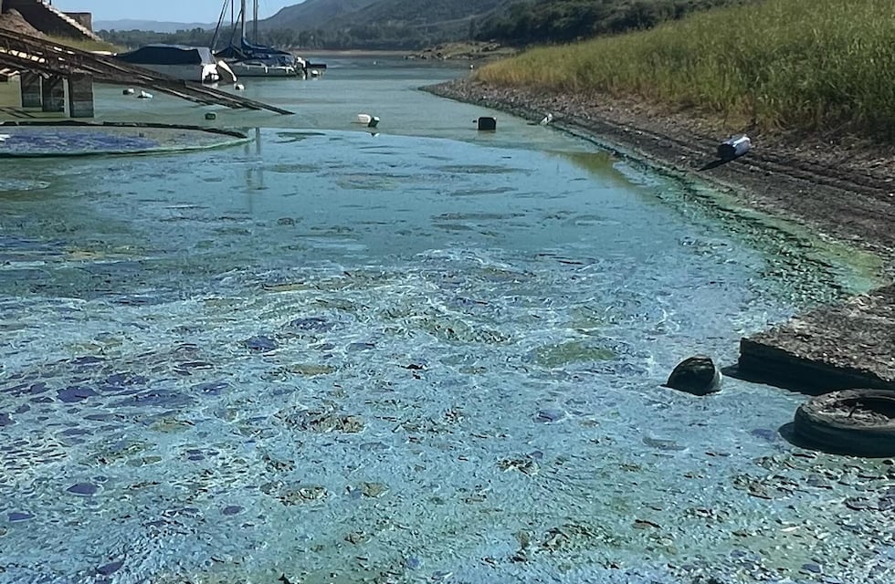 Lago San Roque: Avilés apuntó a la provincia y dejó en claro la falta de cloacas en el Valle de Punilla