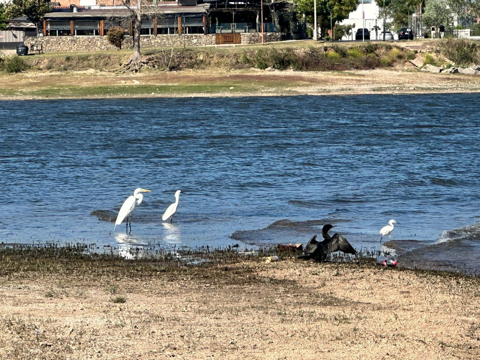 El lago San Roque fue escenario de una experiencia única de observación de aves