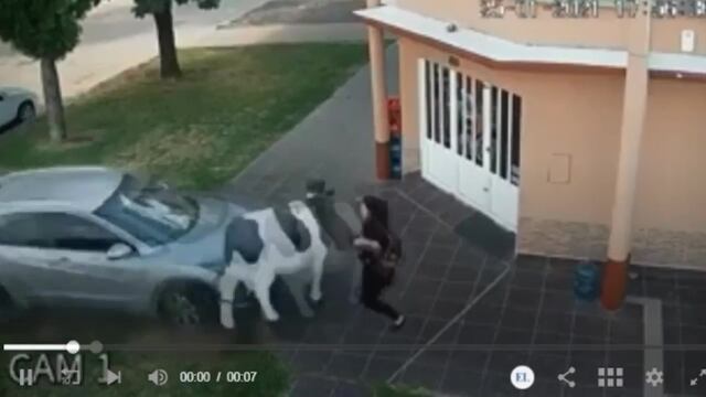 El conductor no logró frenar al subir a la vereda en la ochava. (El Litoral)
