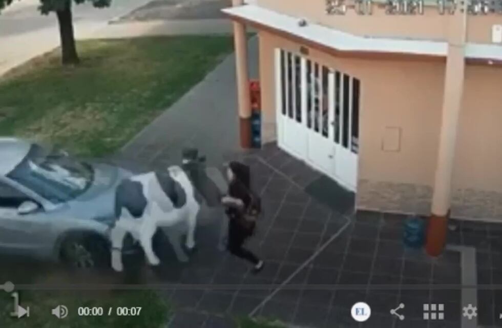 Mujer se salvó al límite de un fuerte choque registrado en video en Teodelina