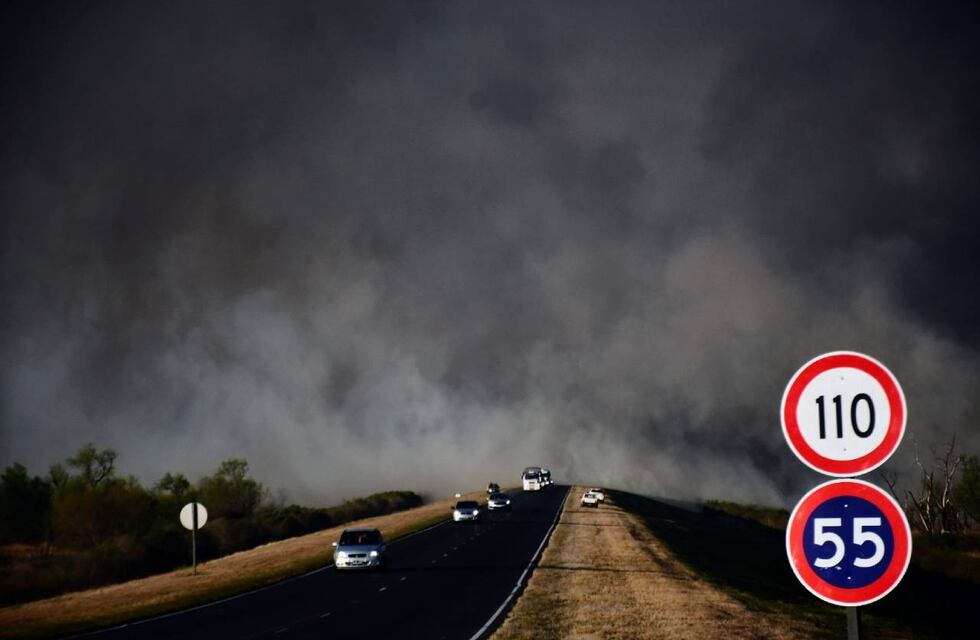 Incendios en el Delta del Paraná: la municipalidad de Rosario fue admitida como querellante