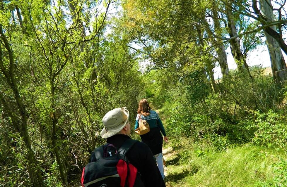 Lunes nublado y fresco en la región de Ansenuza